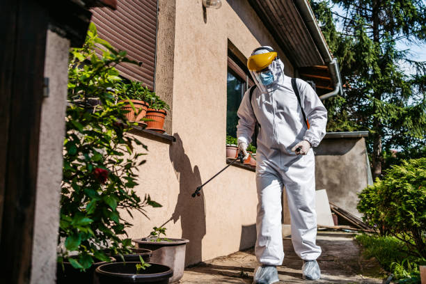 Reliable Lake Odessa, MI Pest Control Solutions