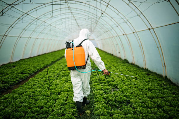Pest Prevention Services in Lake Odessa, MI