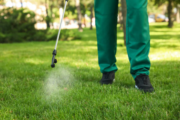 Wildlife Control Services in Lake Odessa, MI