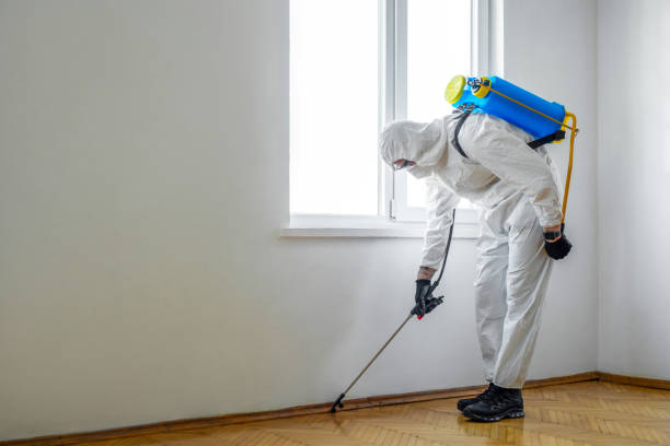 Best Cockroach Control Services  in Lake Odessa, MI