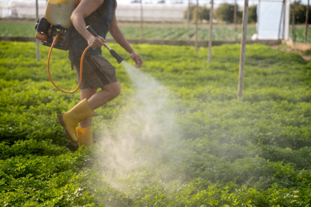Best Pest Prevention Services  in Lake Odessa, MI