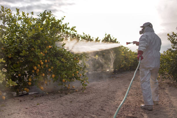 Trusted Lake Odessa, MI Pest Control Experts