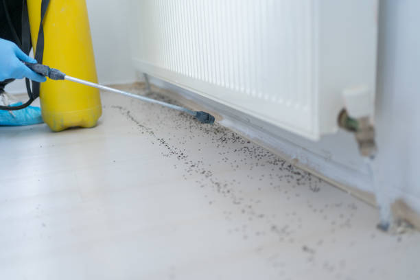 Best Pest Prevention Services  in Lake Odessa, MI