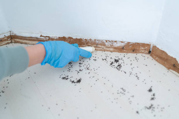 Best Wildlife Control Services  in Lake Odessa, MI