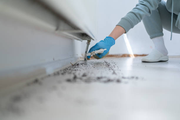 Best Affordable Pest Control Services  in Lake Odessa, MI